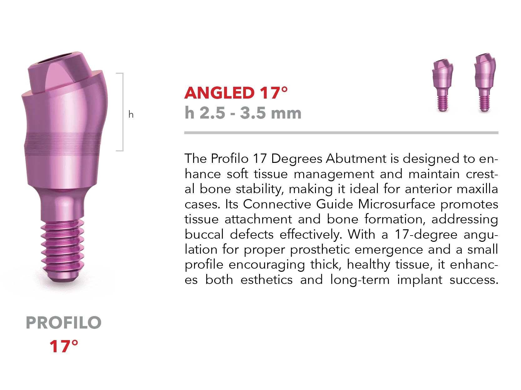 Profilo abutment - Angled 17°