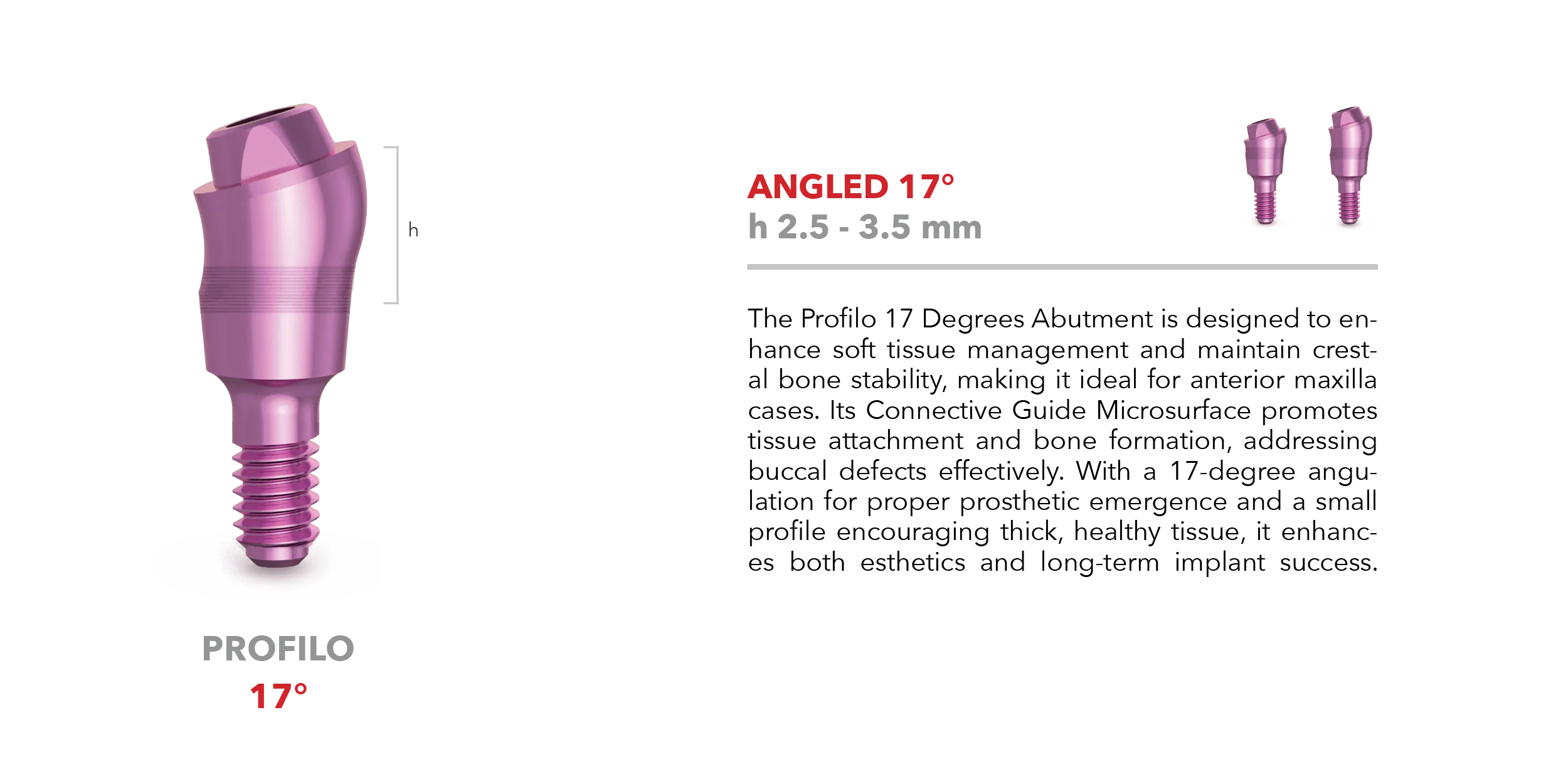 Profilo abutment - Angled 17°