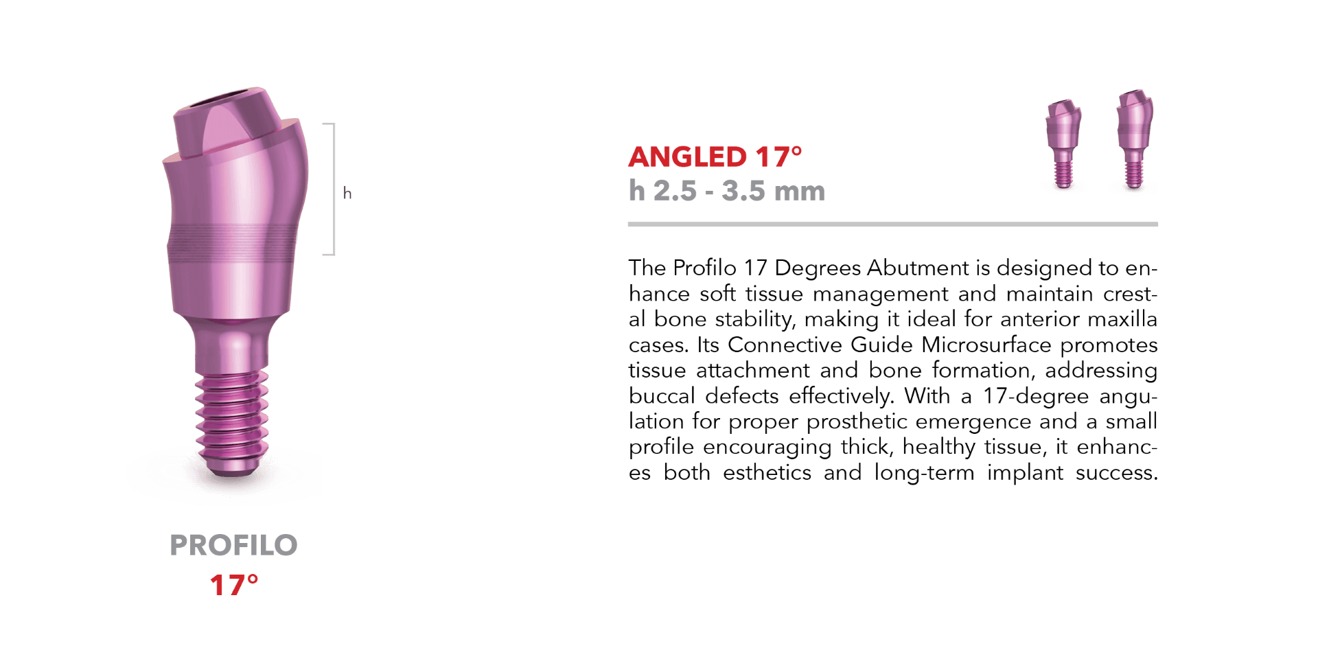 Profilo abutment - Angled 17°