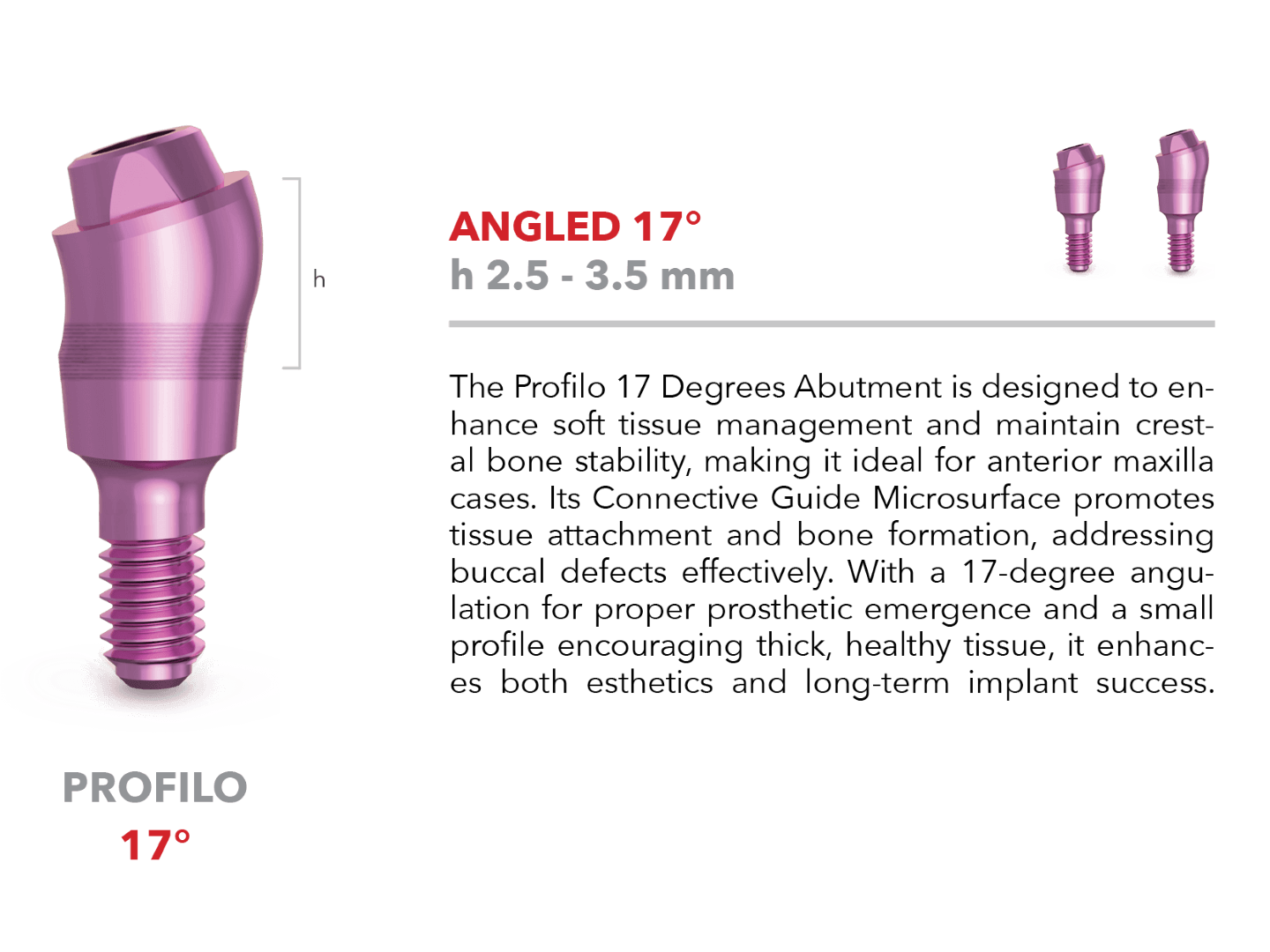 Profilo abutment - Angled 17°
